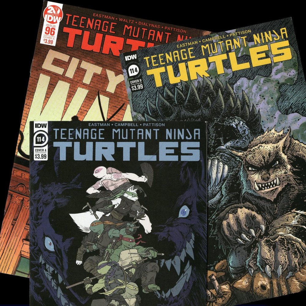 TEENAGE MUTANT NINJA TURTLES 96-114A-114B